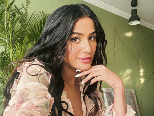 Poonam Pandey Net worth