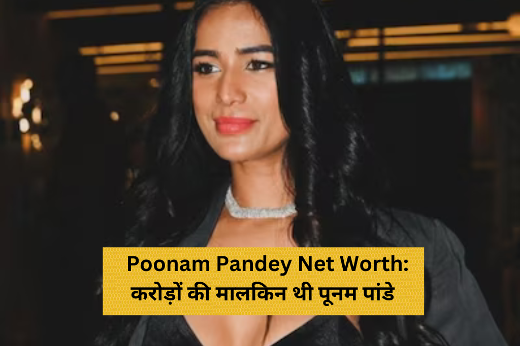 Poonam Pandey Net worth